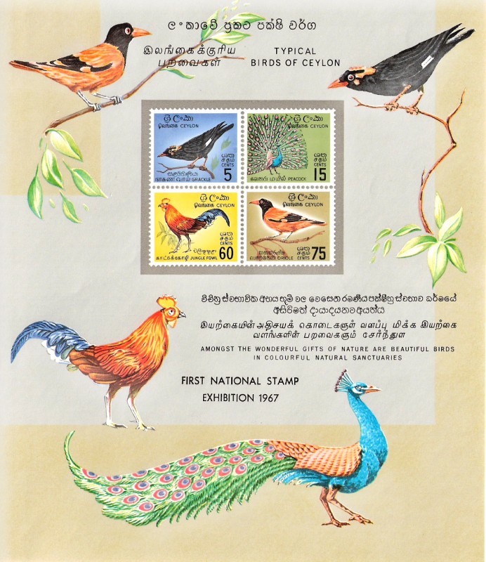 Birds of Ceylon