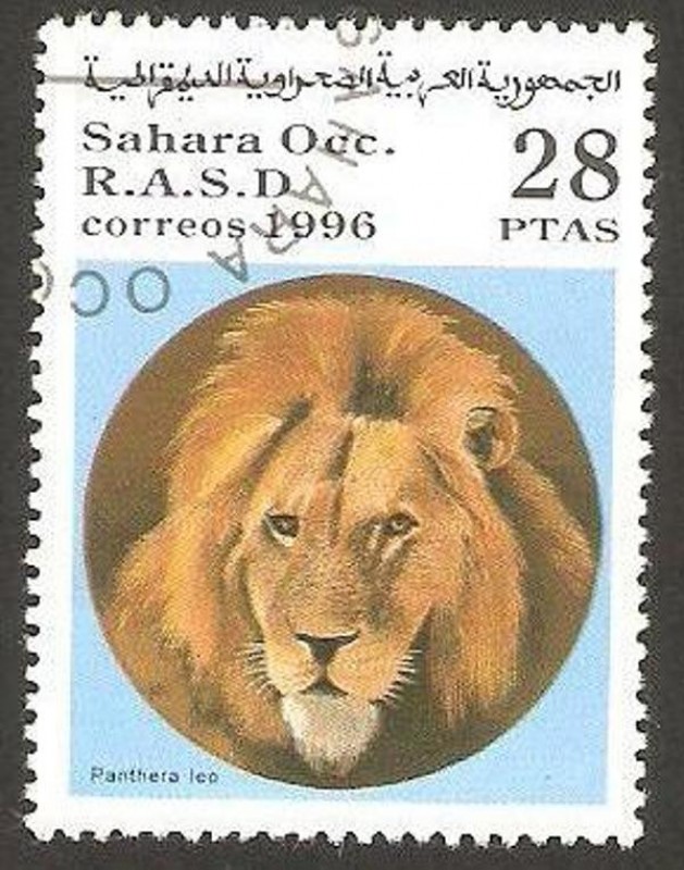 león pantera
