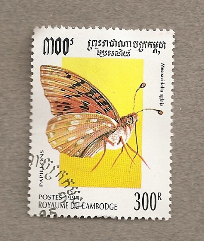 Mariposa Mesoacidalia aglaja