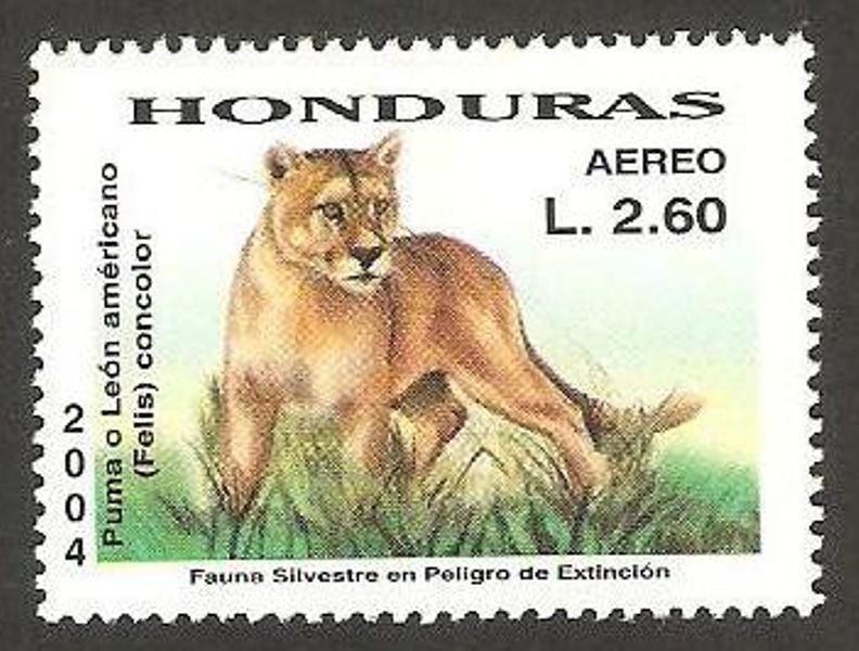 fauna, puma o león americano