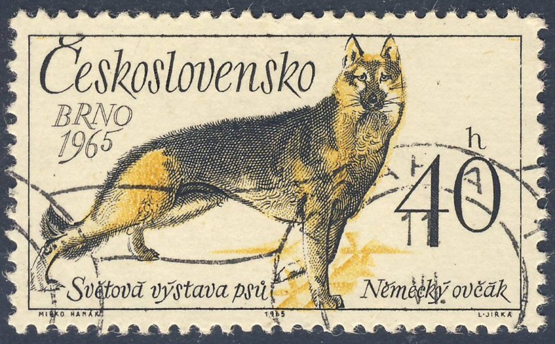 Svetova vystava psu  Newecky ovcak  Brno 1965