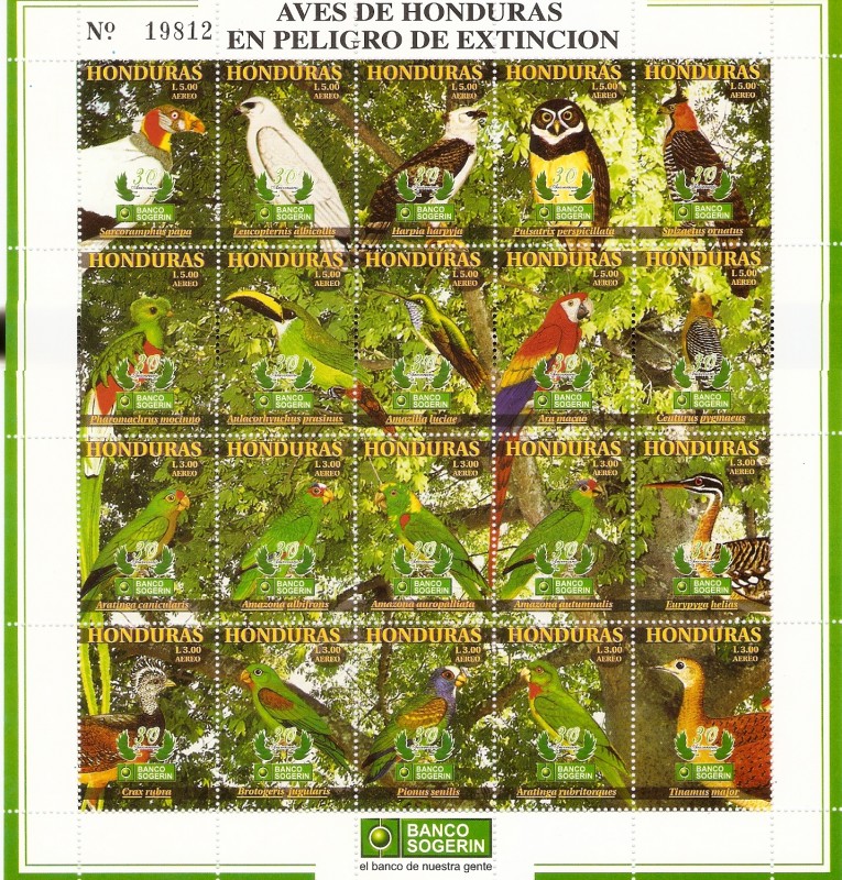 AVES  EN  PELIGRO  DE  EXTINCIÓN