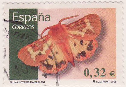 Fauna: Hyphoraia Dejeani