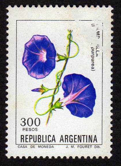 Campanilla