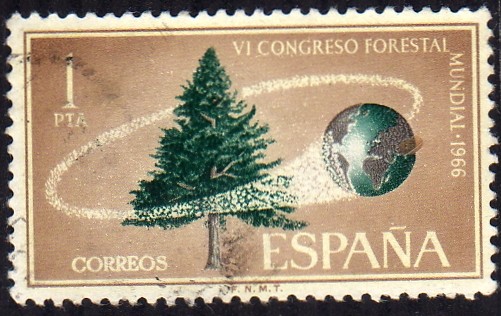 VI congreso forestal mundial