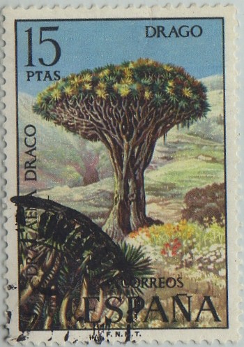 Flora-Drago-1973