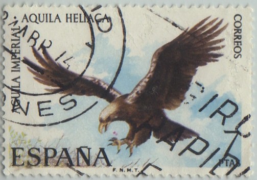fauna hispanica-Aguila imperial-1973