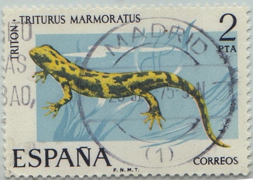 fauna hispanica-Triton-1975