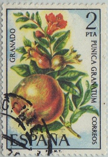 flora-granado-1975