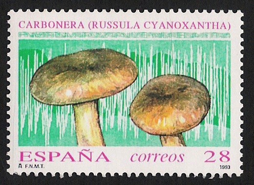 SETAS-HONGOS: 1.232.003,00-Russula cyanoxantha