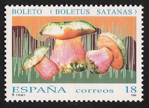 SETAS-HONGOS: 1.232.011,00-Boletus satanas