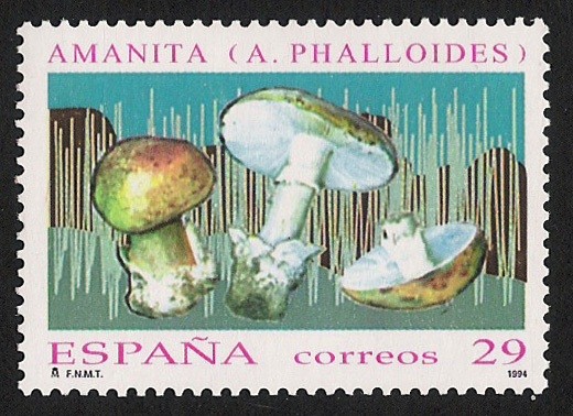 SETAS-HONGOS: 1.232.013,00-Amanita phalloides
