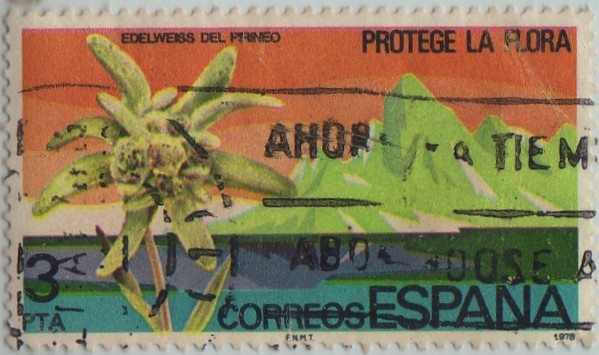 Proteccion a la naturaleza-Edelweiss del pirineo-1978