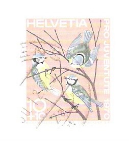 Pajaros