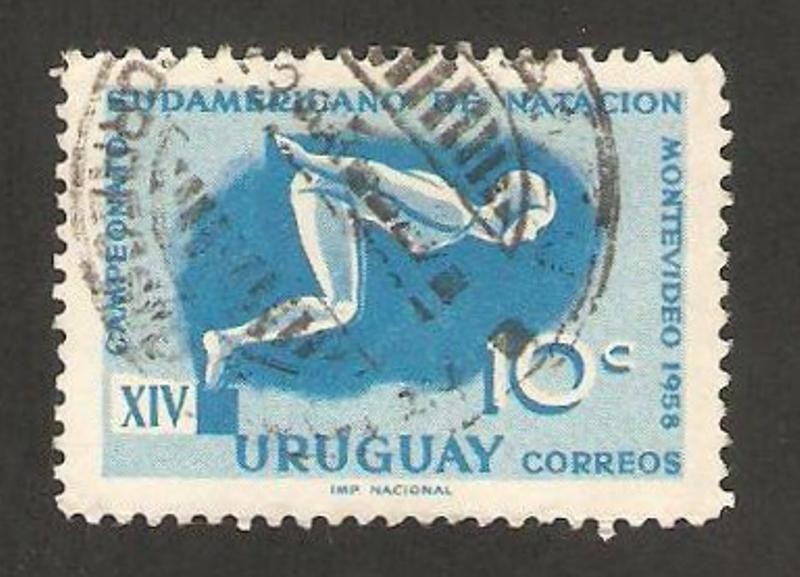 XIV campeonato sudamericano de natación, montevideo 1958
