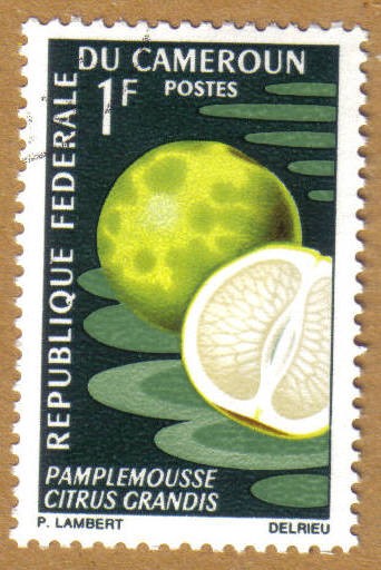 Frutas - Citrus grandis