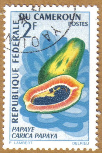 Frutas - Carica Papaya