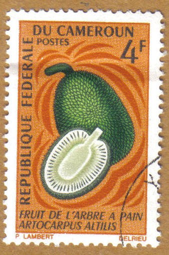 Frutas - Artocarpus Artilis