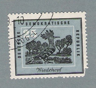 Wiedehopf