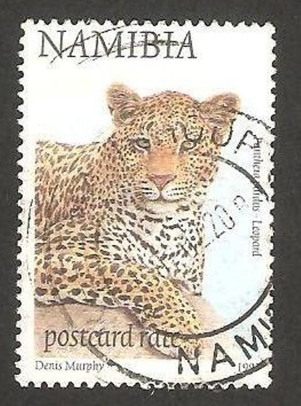 un leopardo