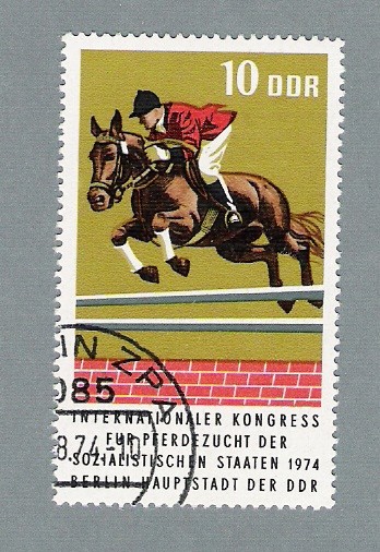 Salto de obstáculos
