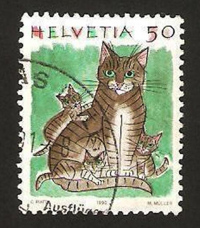 1342 - gatos
