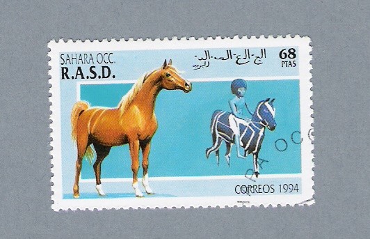 Caballos