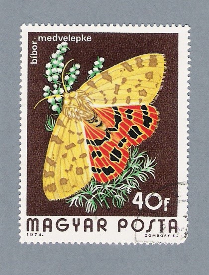 Mariposa