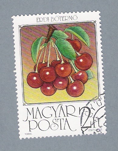 Cerezas