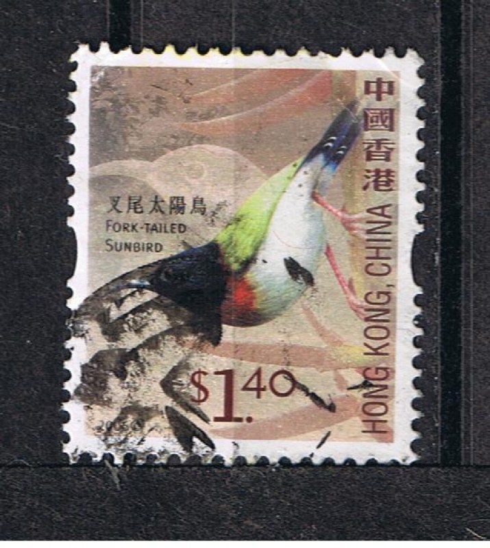 Fork tailed sumbird
