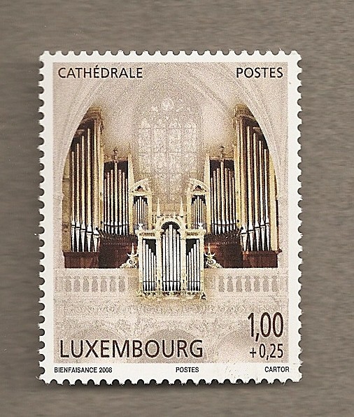 Organo de la Catedral