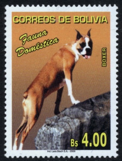Fauna Domestica - Perros