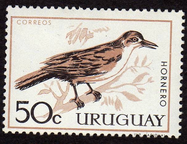 Pajaros del Uruguay 
