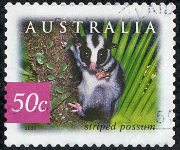 Fauna
