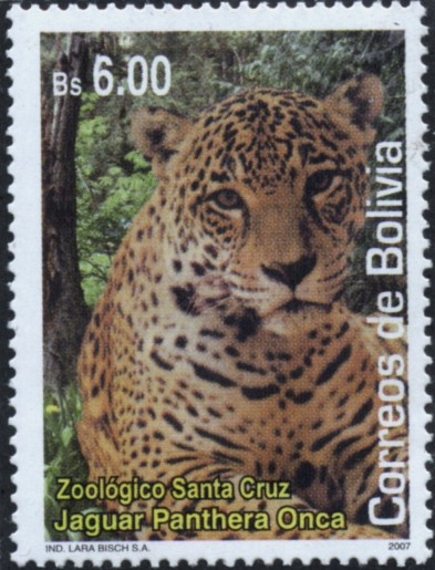 Zoologico de Santa Cruz