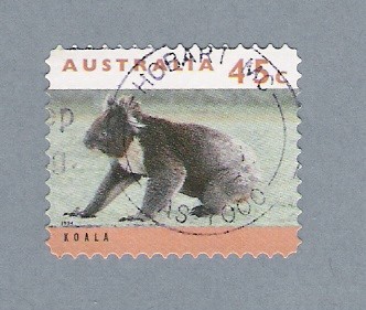 Koala