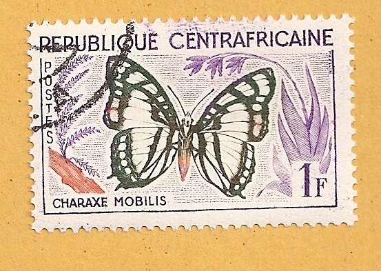 Mariposa, Charaxe nobilis