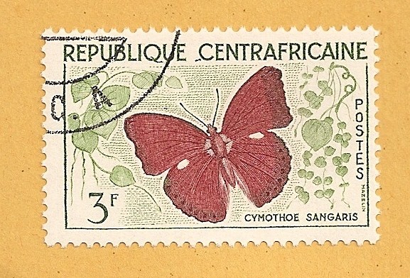 Mariposa, Cymothoe sangaris