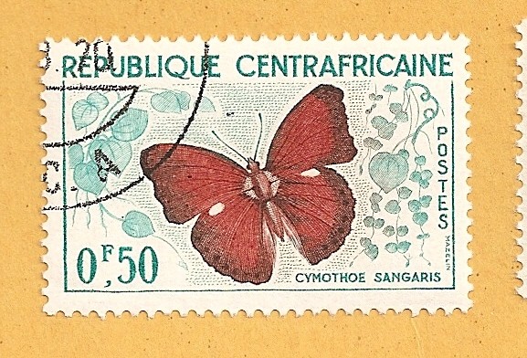 Mariposa, Cymothoe sangaris