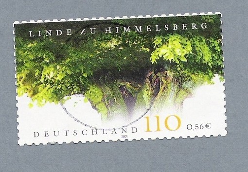Árbol