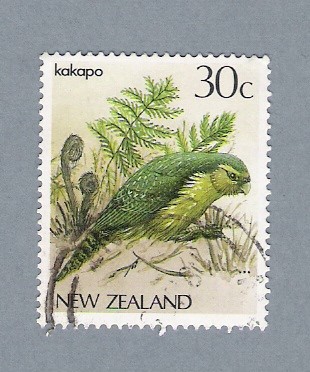 Kakapo
