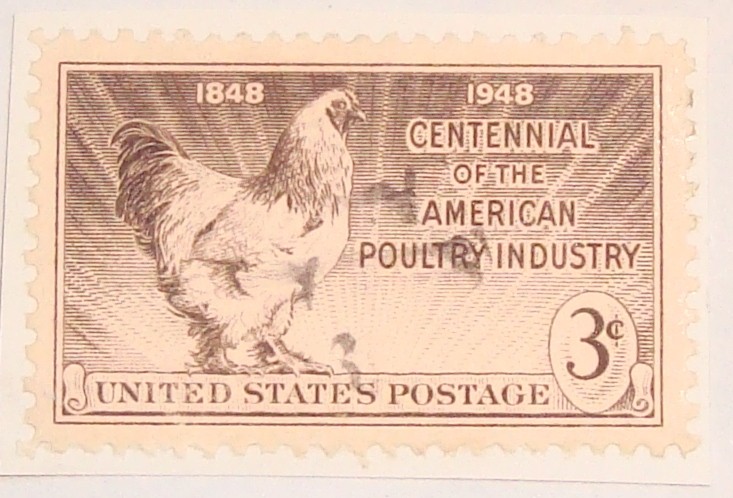 centennial of the american oultry industry