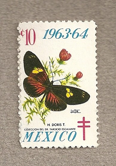 Mariposa H. doris
