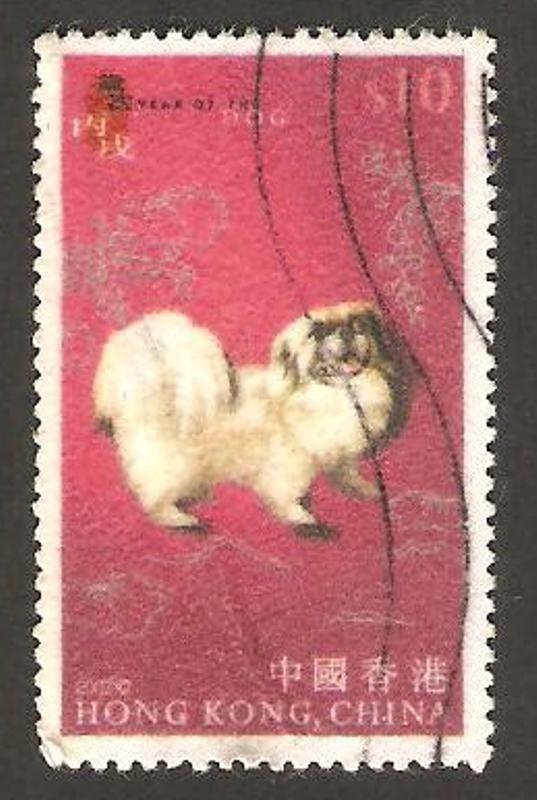 animal de zodiaco chino, un perro