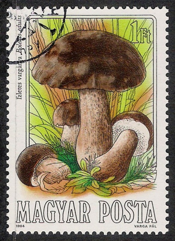 SETAS-HONGOS: 1.164.002,04-Boletus edulis -Phil.47537-Dm.984.55-Y&T.2936-Mch.3709-Sc.2874