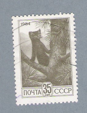 Animal salvaje