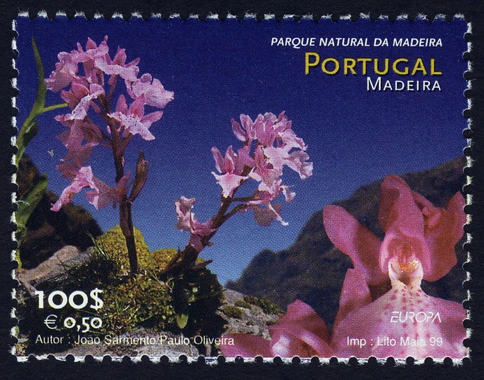 PORTUGAL - Bosque de laurisilva de Madeira