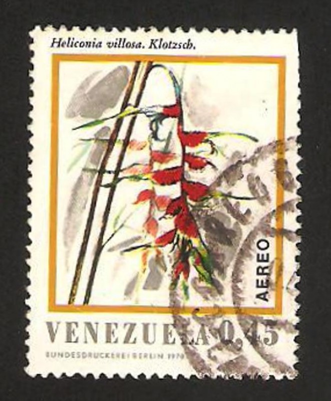 1009 - Flor heliconia villosa