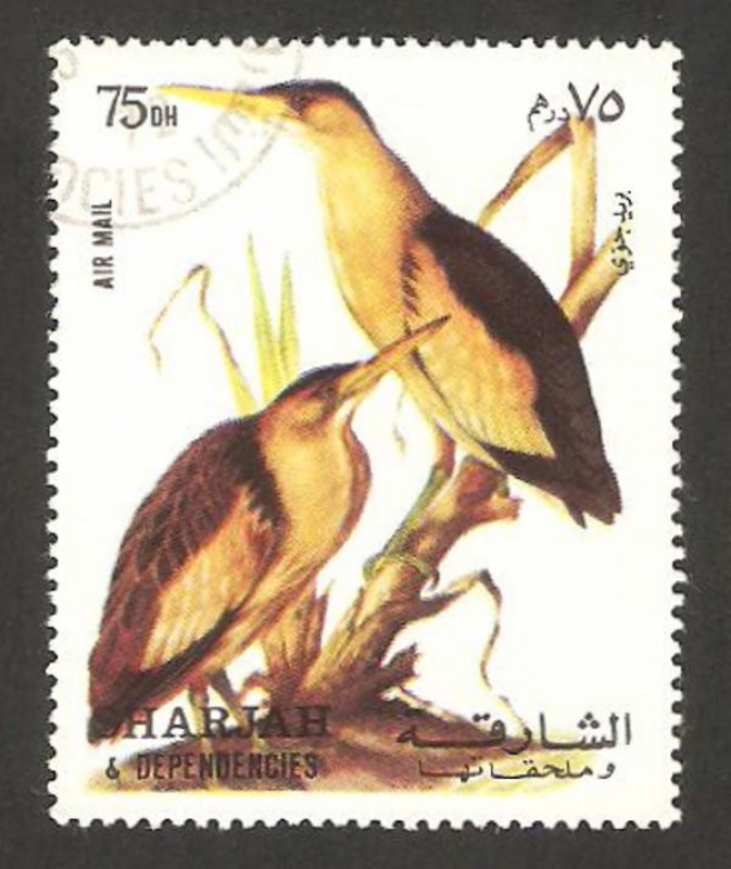 Sharjah - aves
