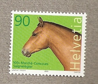 100 Aniversario mercado concurso equino